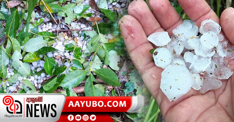 බිබිලට - මීගහකිවුලට අයිස් වැස්සක් (PHOTOS)