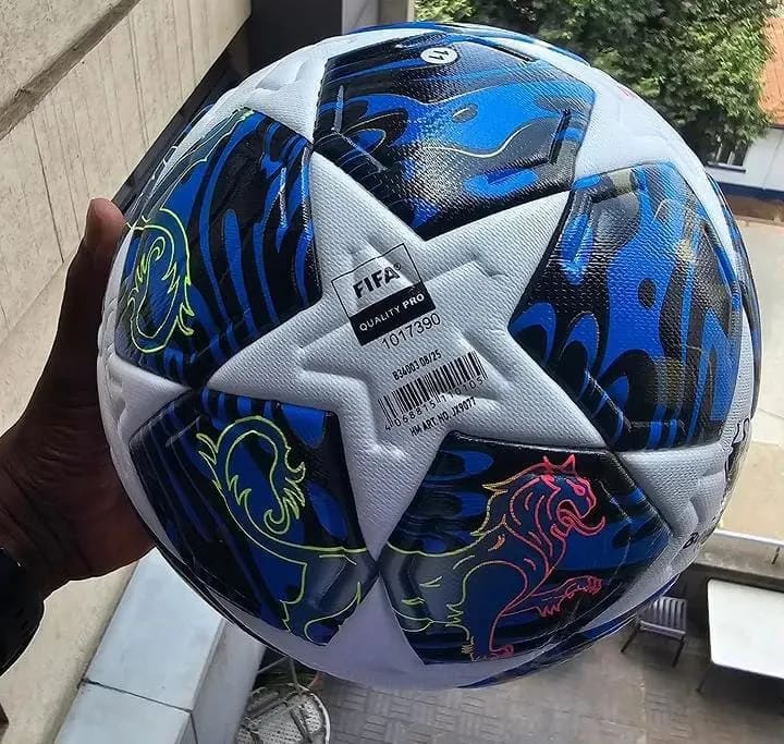 Adidas UEFA Champions League style soccer ball
