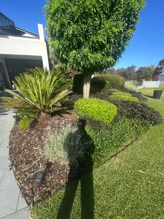 Garden Maintenance 1 in Perth