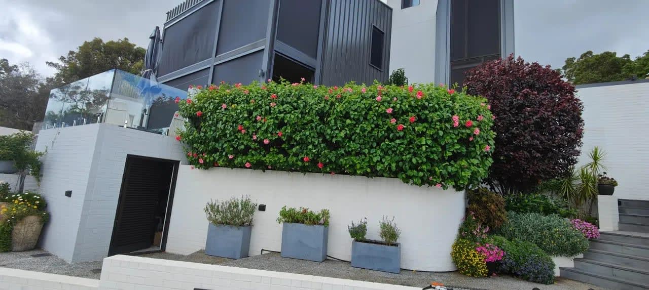 Garden Maintenance 3 in Perth