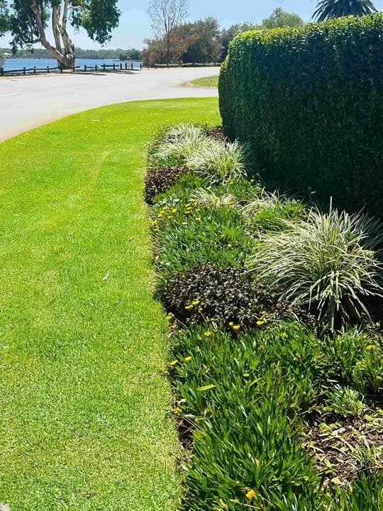 Garden Maintenance 5 in Perth