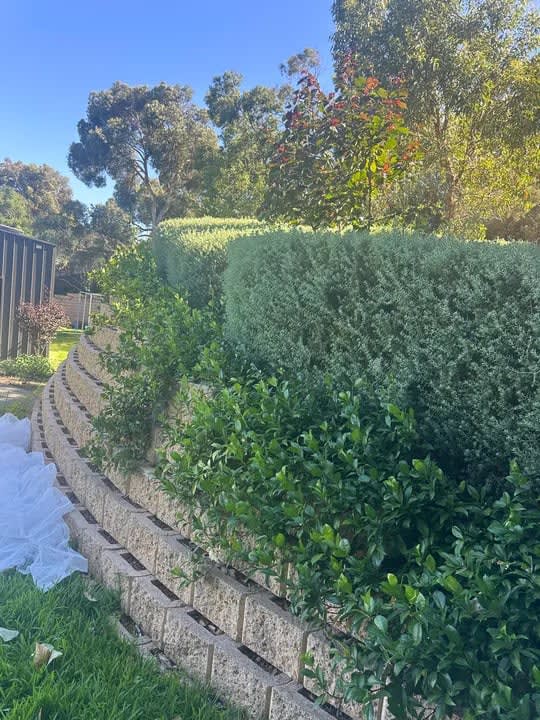 Garden Maintenance 6 in Perth