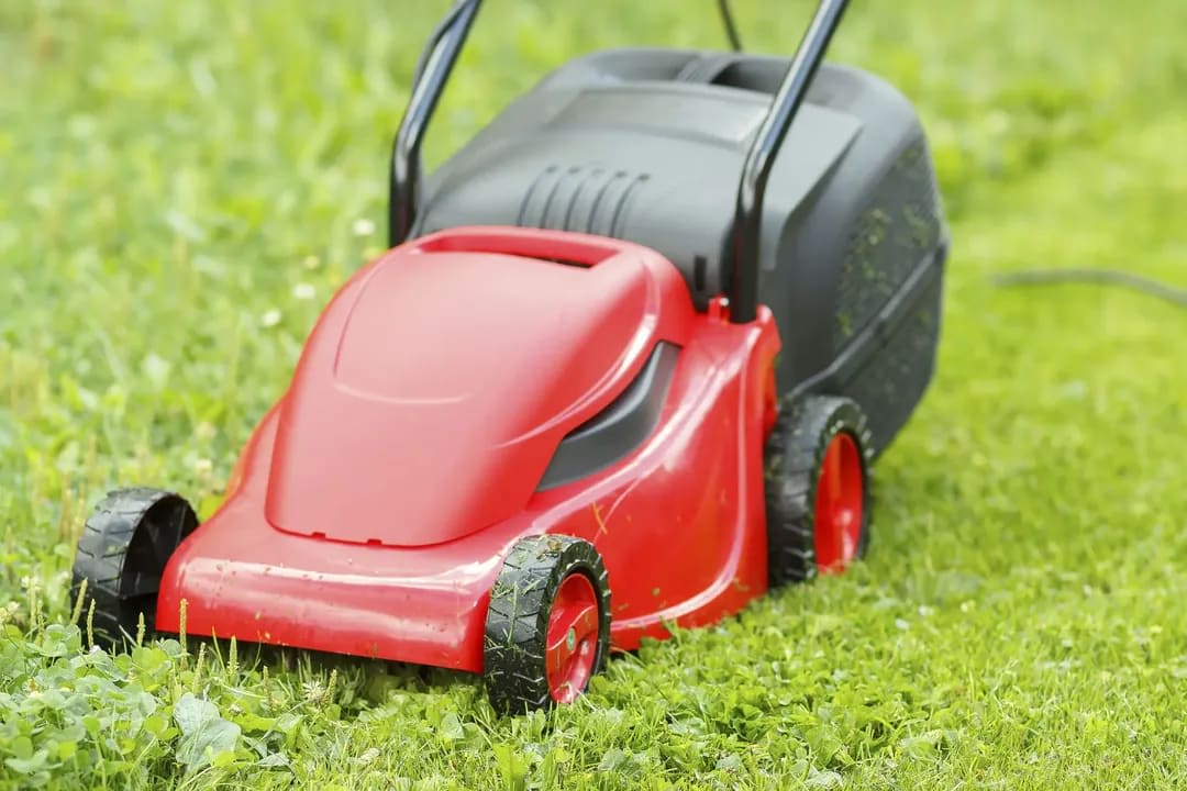 Lawn Moving 1 in Perth