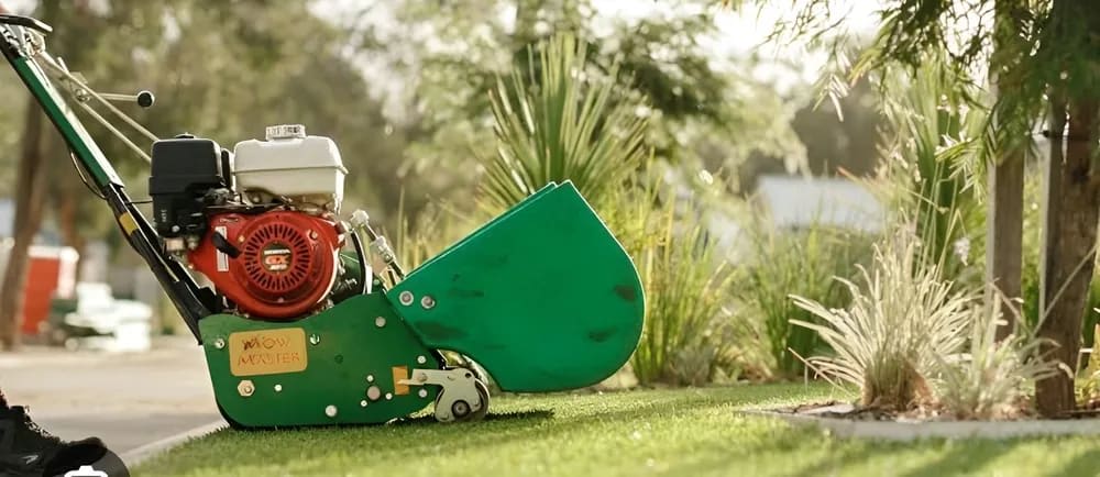 Lawn Moving 2 in Perth