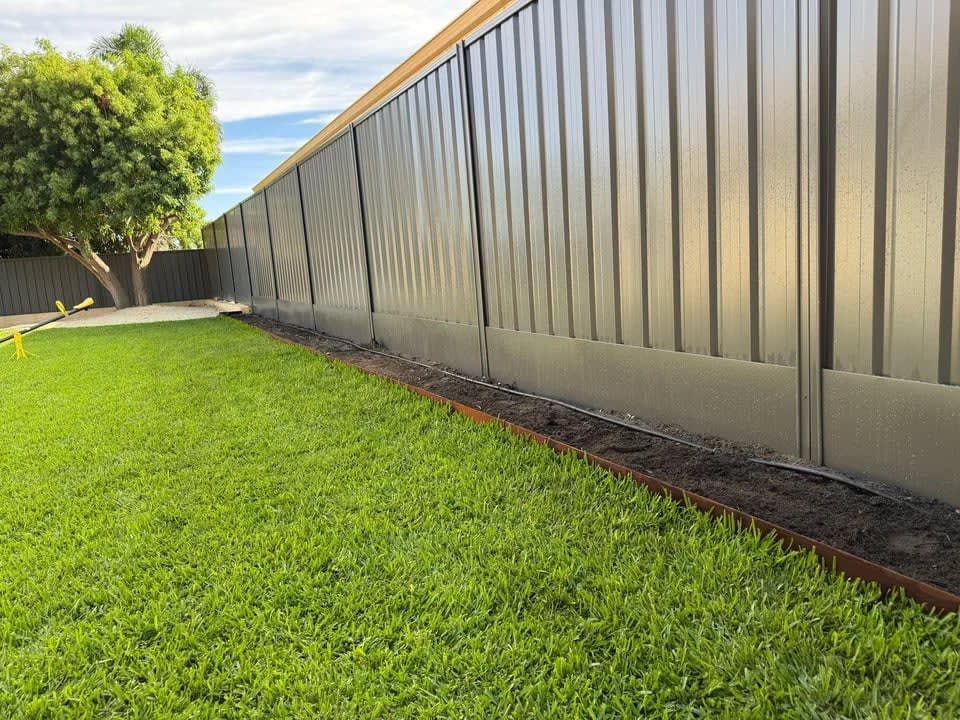 Lawn Turf 1 in Perth