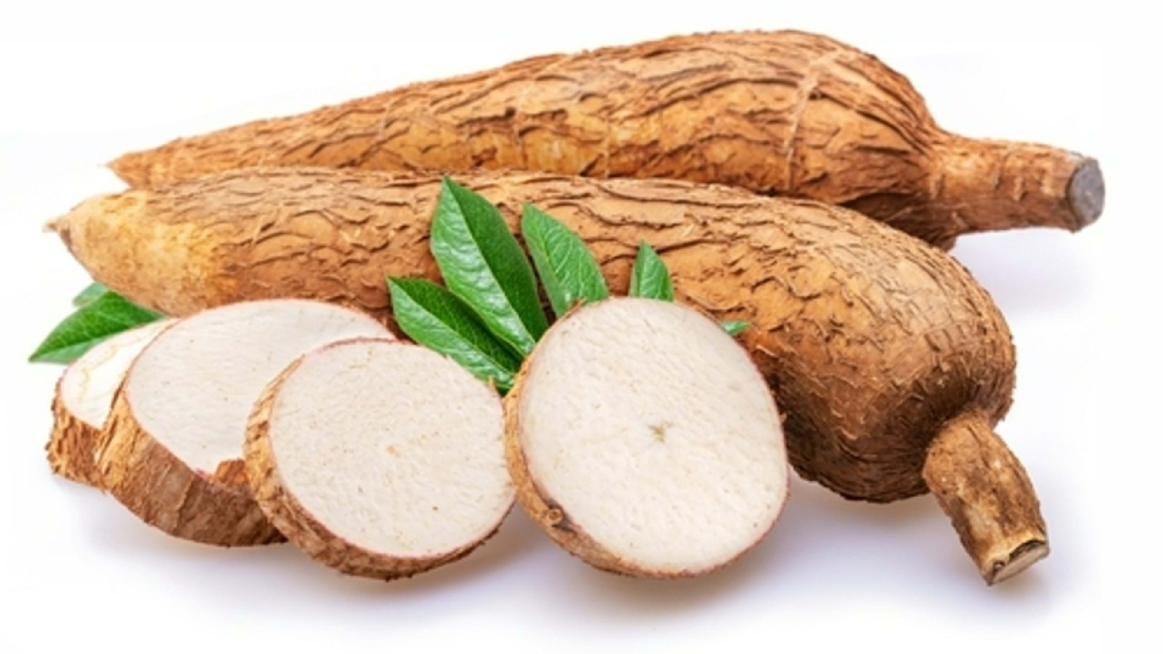 Cassava photo 1