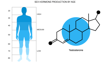 Sex-Hormone-Production-by-Age-Mullica-Hill-Medical-&-Wellness-TRT