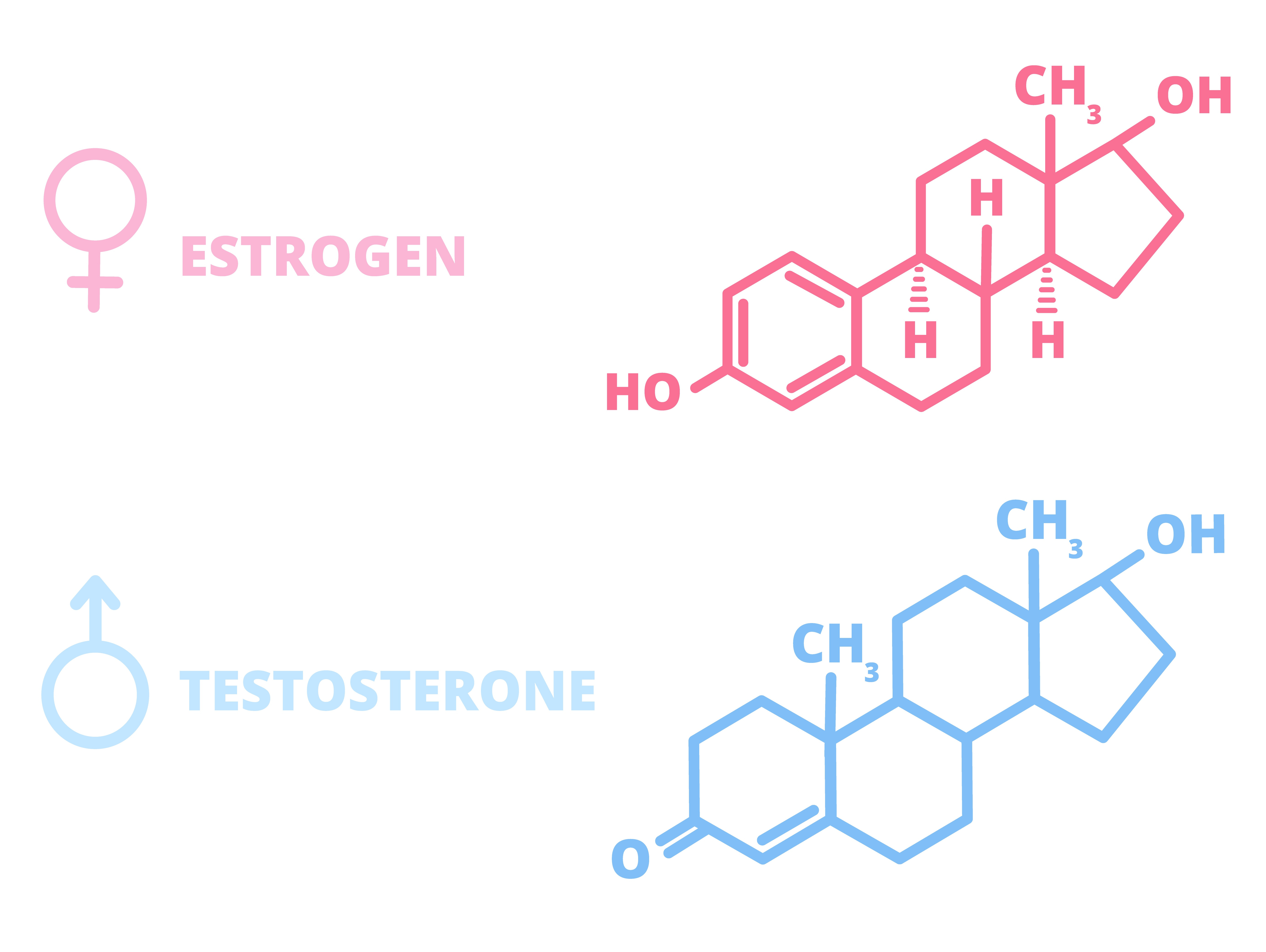 Testosterone Pellet Therapy For Women Mullica Hill Medical 8019