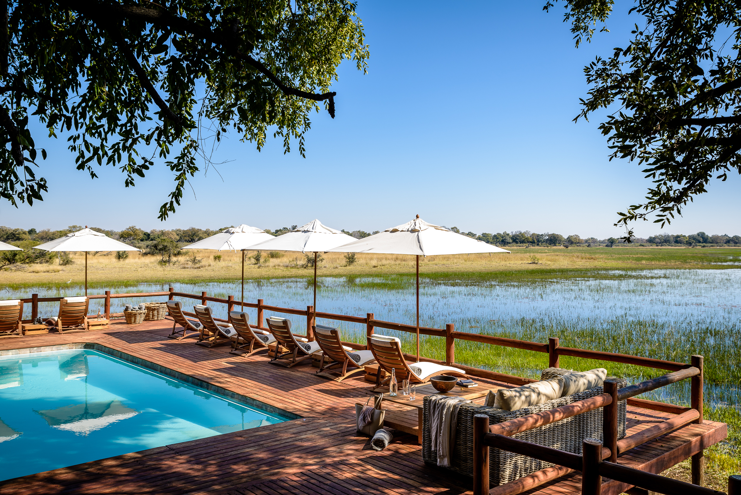 Chiefs Camp Pool Okavango Delta Safari