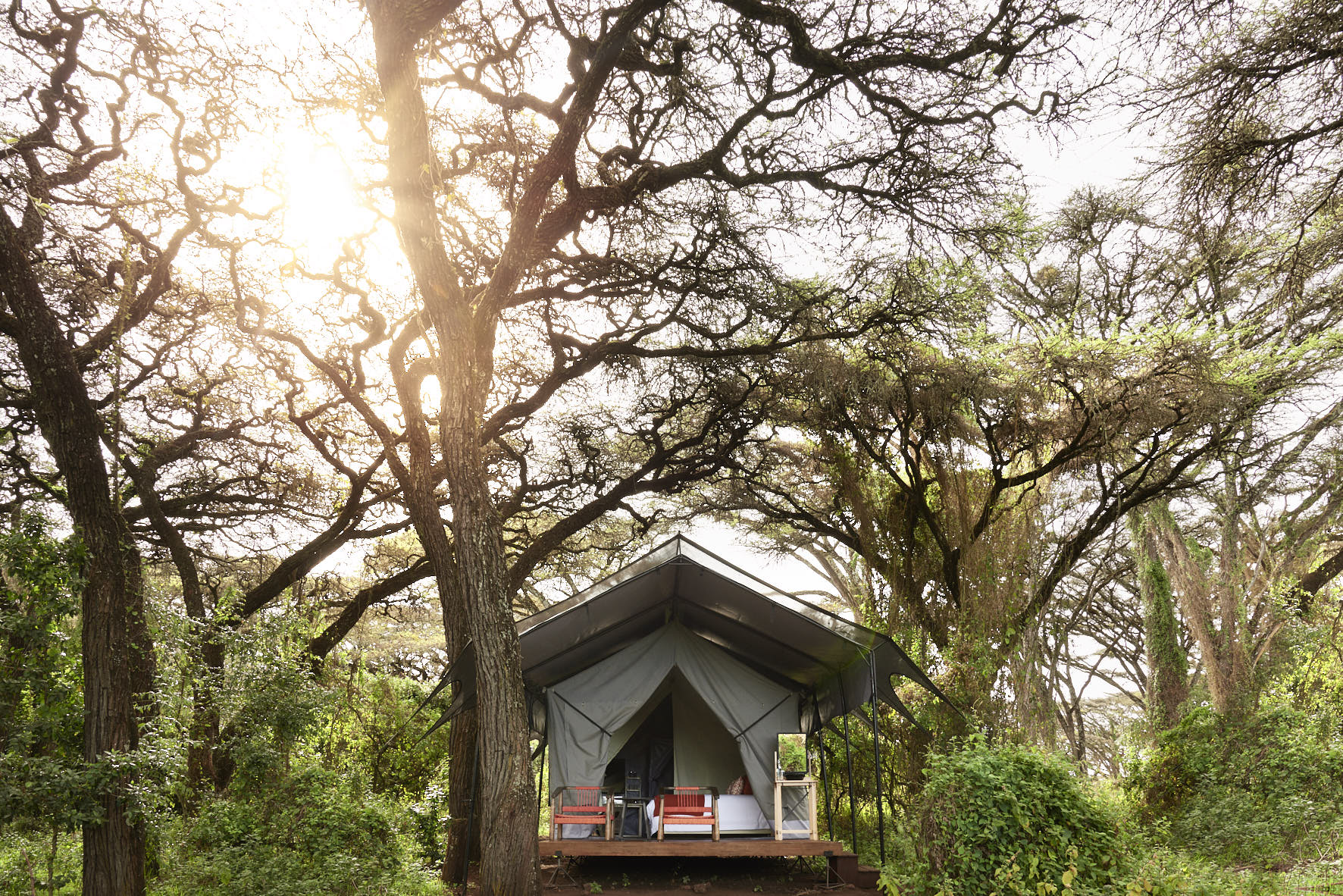 Tented Room Ngorongoro Crater Camp Safari Tanzania