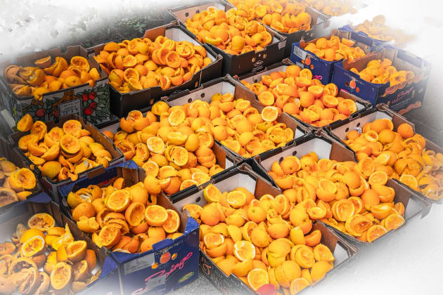 Biomüll Freudenberg: Biologischen Abfall einfach richtig entsorgen! 398 Orangenschalen entsorgen