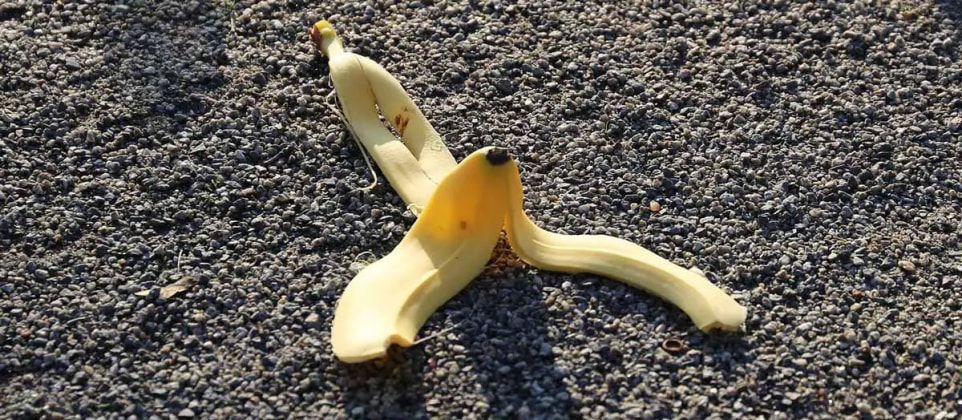 Bananenschalen Kompost