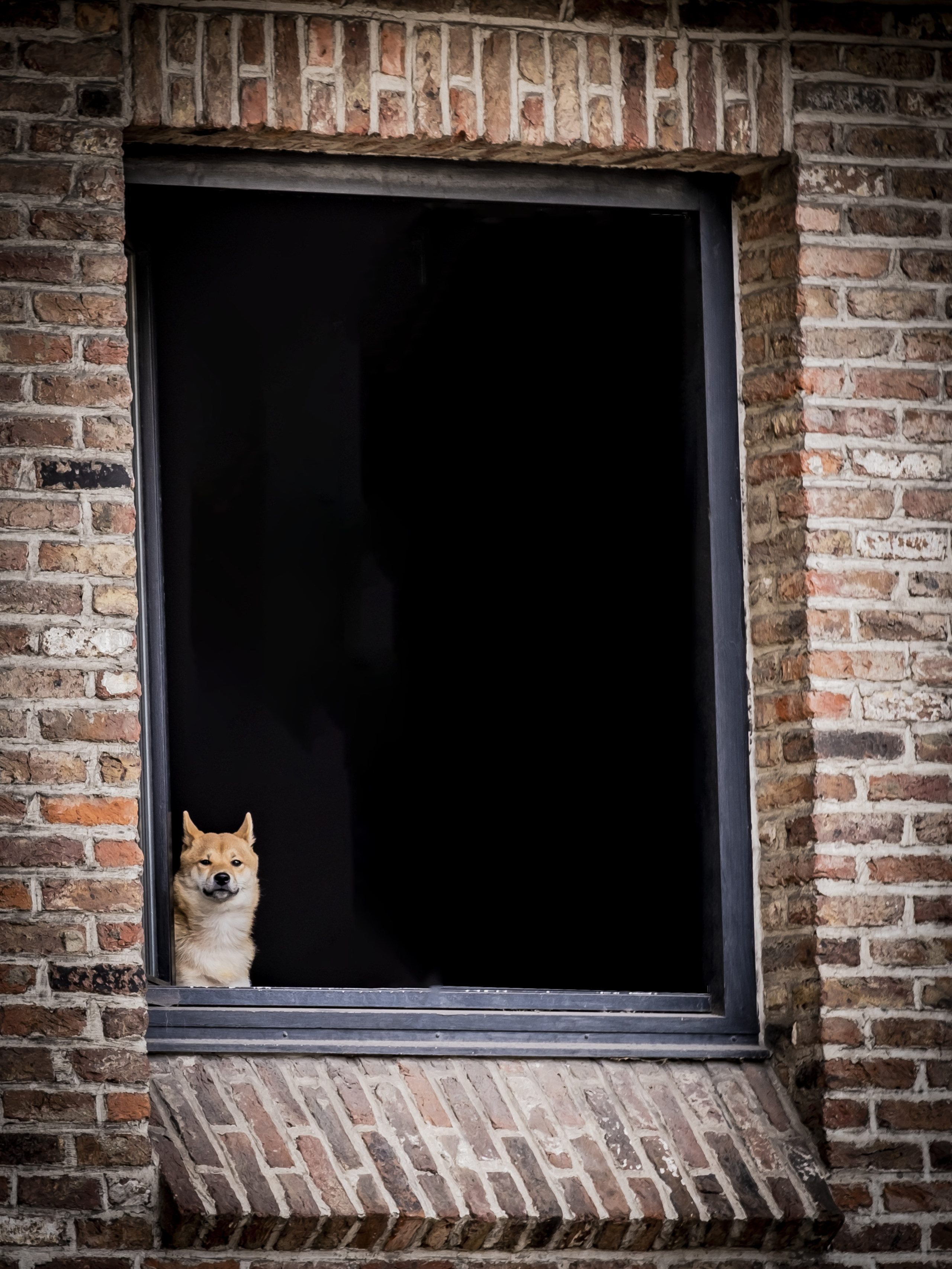 The watcher