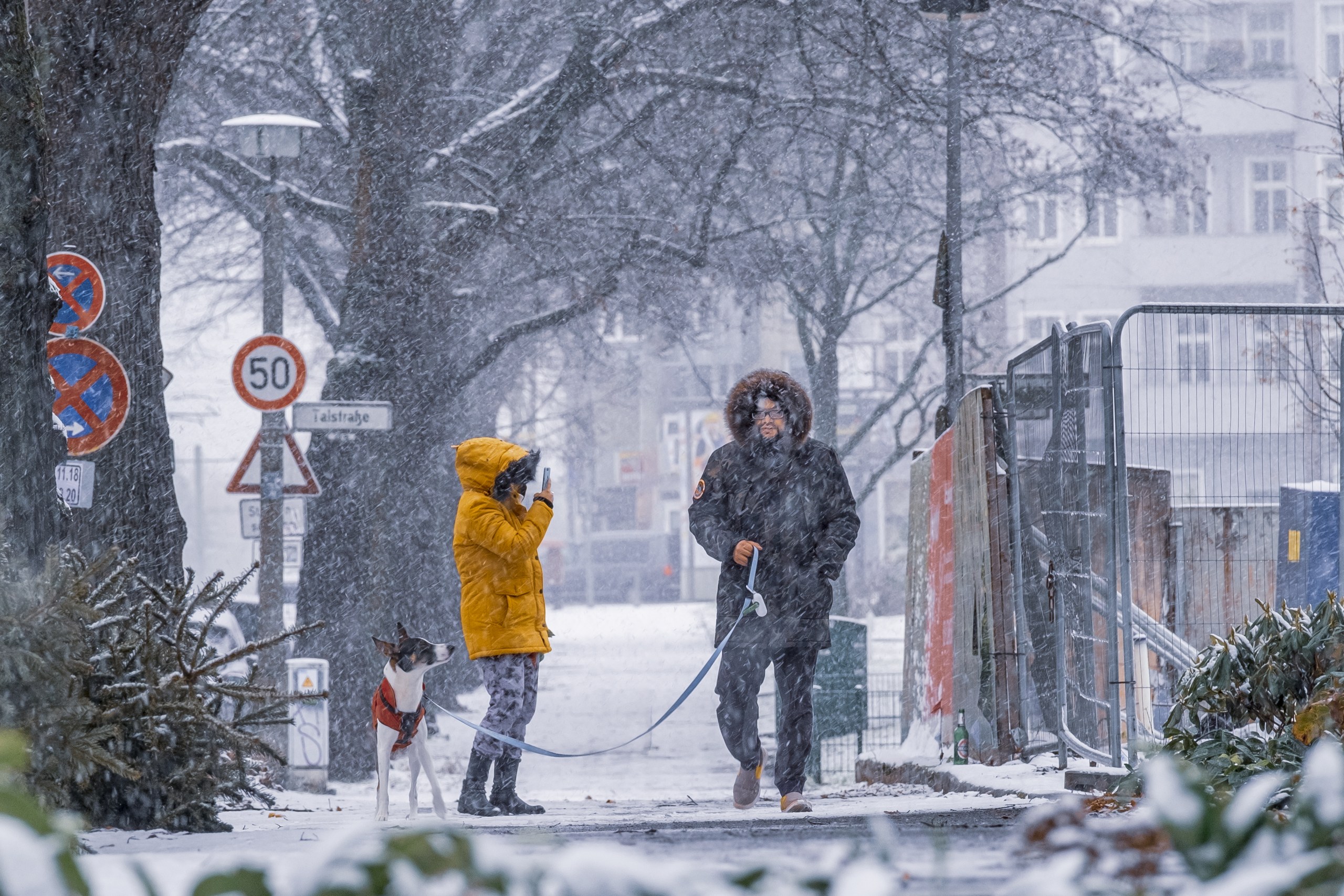 A Quiet Winter Bond