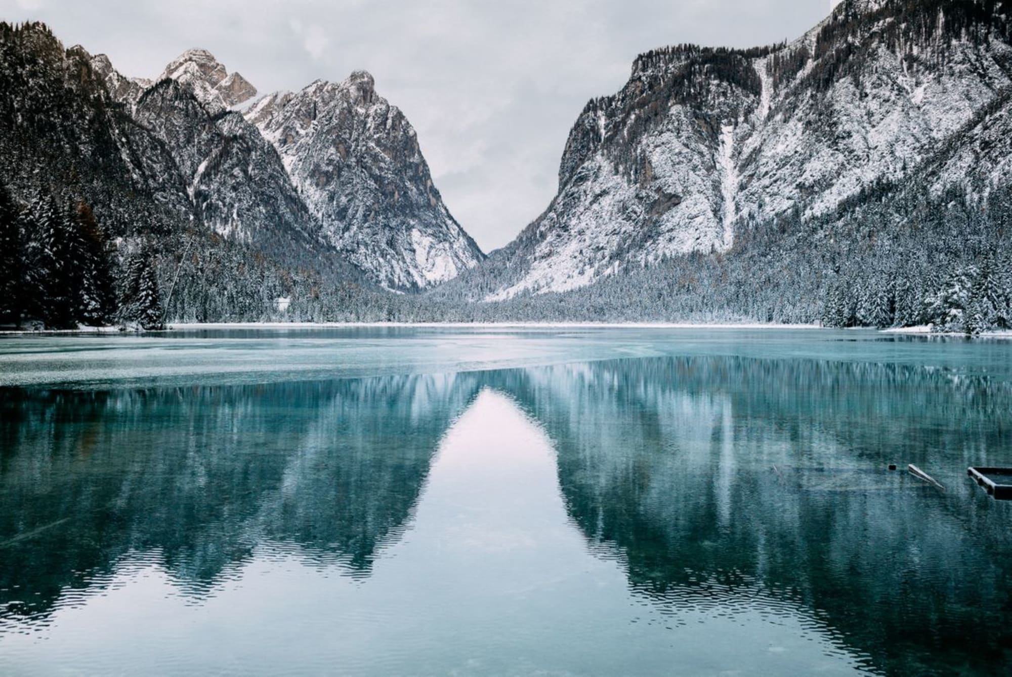 Photo by Tim Stief on Unsplash