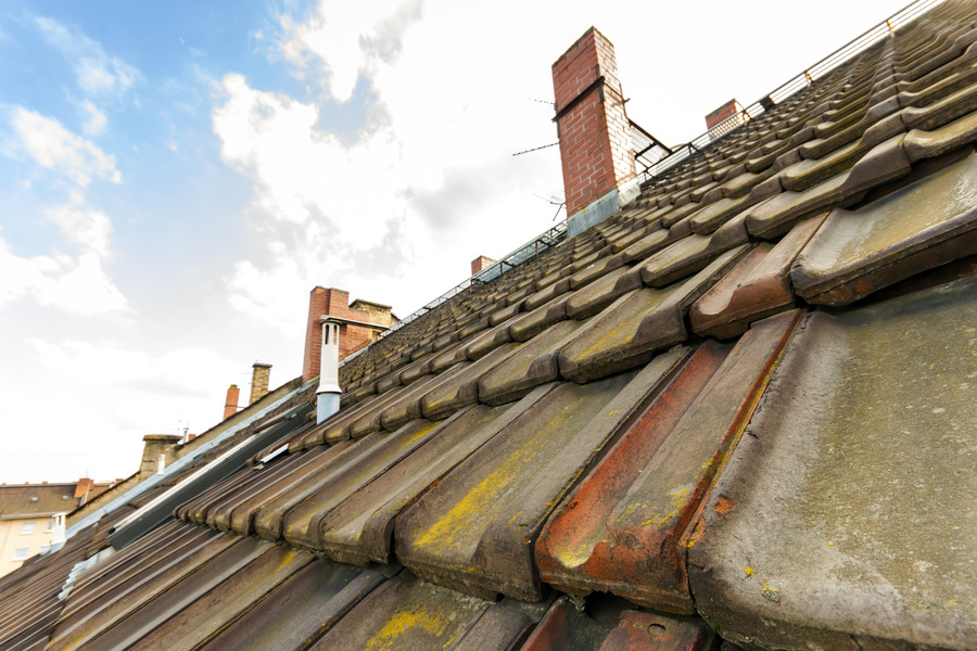 How to Safely Remove Moss and Algae from Your Roof