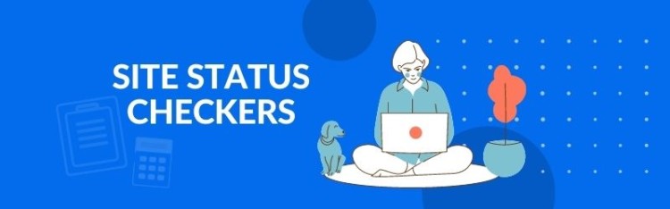 Website Status Checker