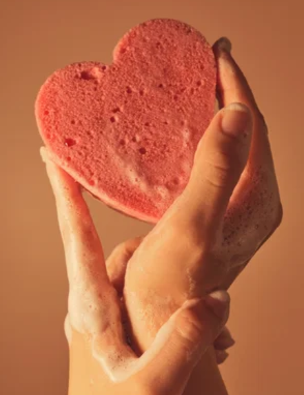 The Differences Between Cleaning and Sanitizing