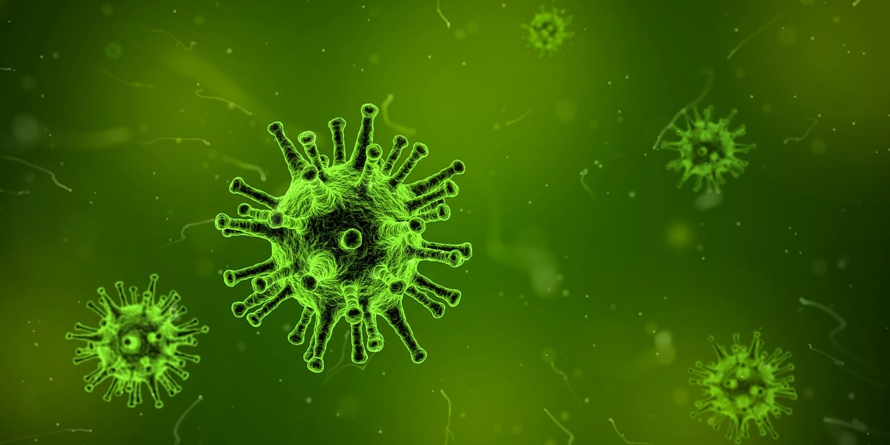 In Southern Africa, prompt outbreak response combined with increased surveillance stops the spread of wild poliovirus.