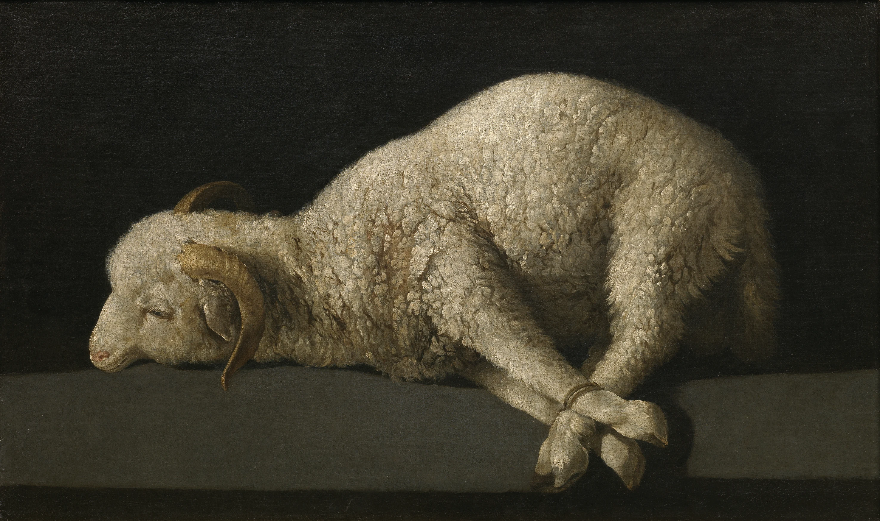 Agnus Dei painting by Francisco de Zurbaran