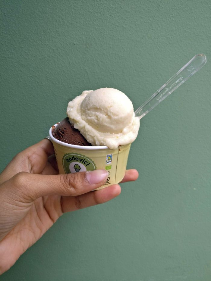 Tigernut Milk Ice Cream at Bodevici