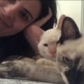 camilawinters @camilawinters profile image