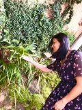 gracedocarmo @gracedocarmo profile image