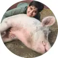 francius80 @francius80 profile image