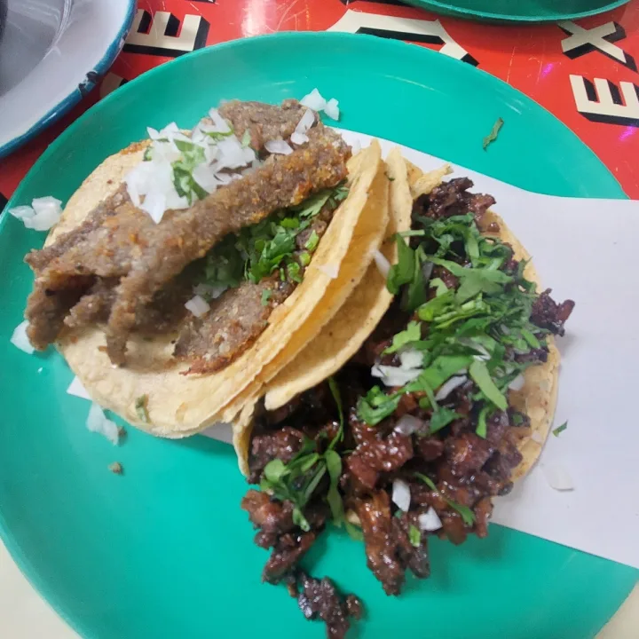 review photo of Por Siempre Vegana TaquerĂa Taco de milanesa shared by @monicaqg on 20 Apr 2023 - review