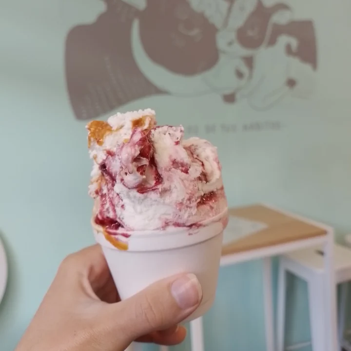 review photo of Ainara Helados Veganos Helado vegano shared by @avsantafe on 21 Sep 2023 - review