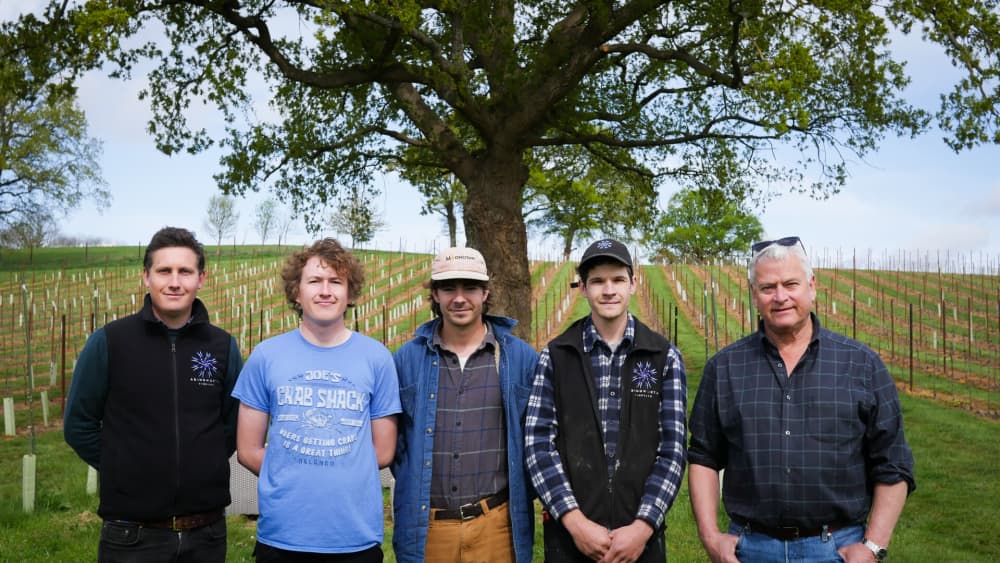 Abingworth Vineyard Abingworth Careers Image 3 - Image