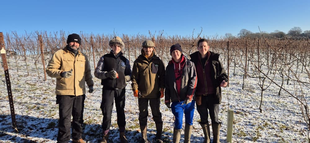 Abingworth Vineyard Abingworth Careers Image 13 - Image