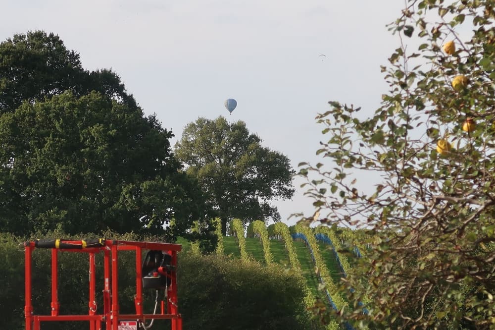 Abingworth Vineyard Event - Tour & Tasting