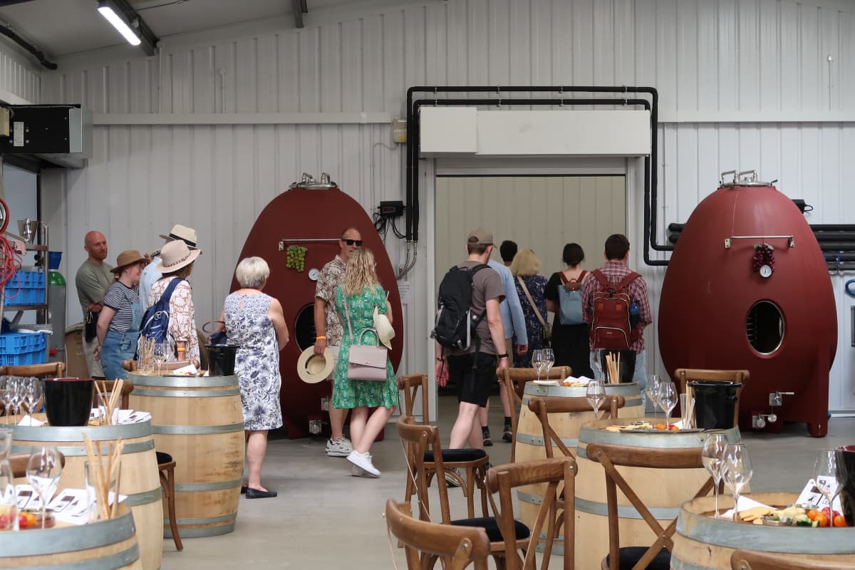 Abingworth Vineyard Blog Image - Blog Image 7