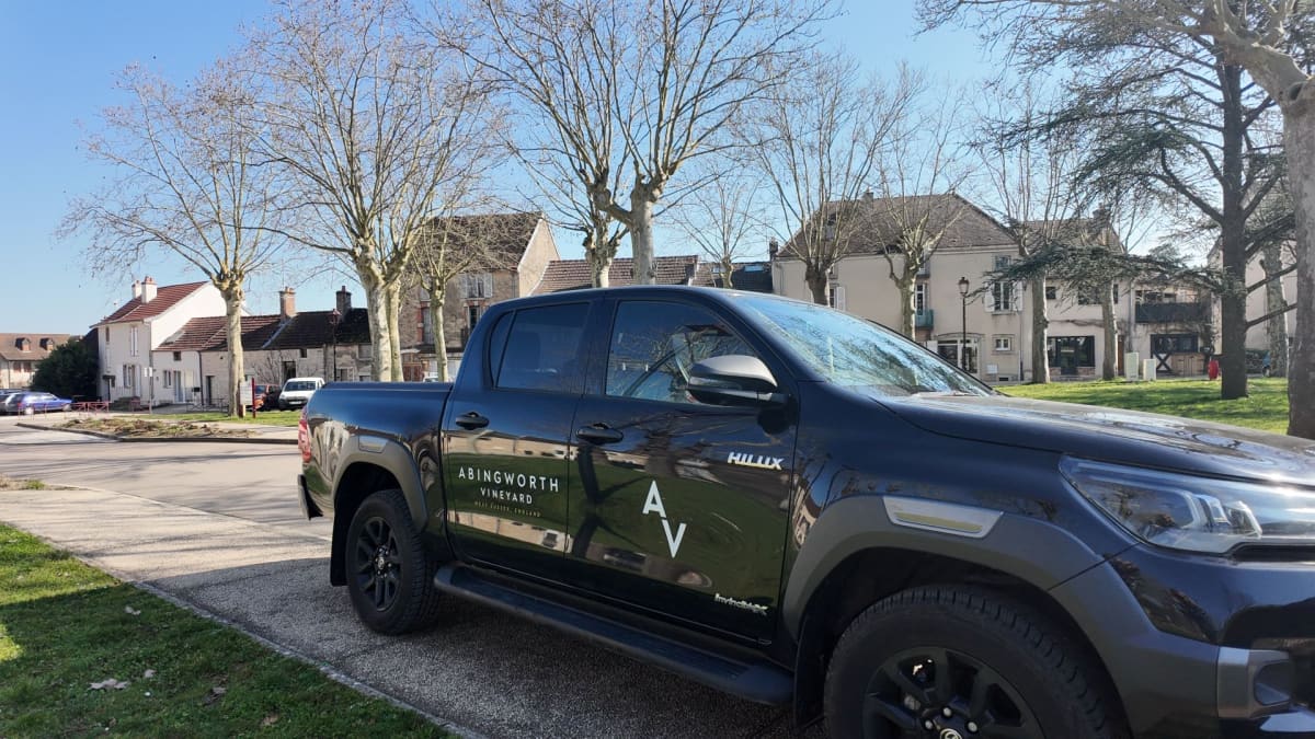 Abingworth Vineyard Blog Image - Blog Image 11