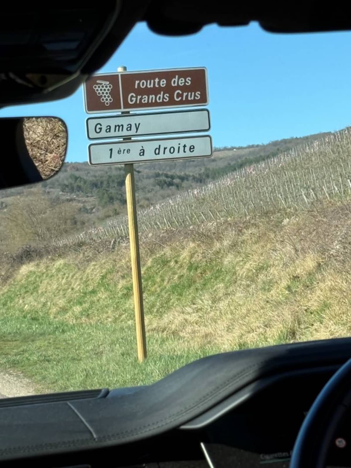 Abingworth Vineyard Blog Image - Blog Image 1