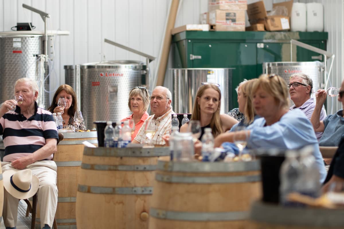 Abingworth Vineyard Blog Image - Blog Image 13