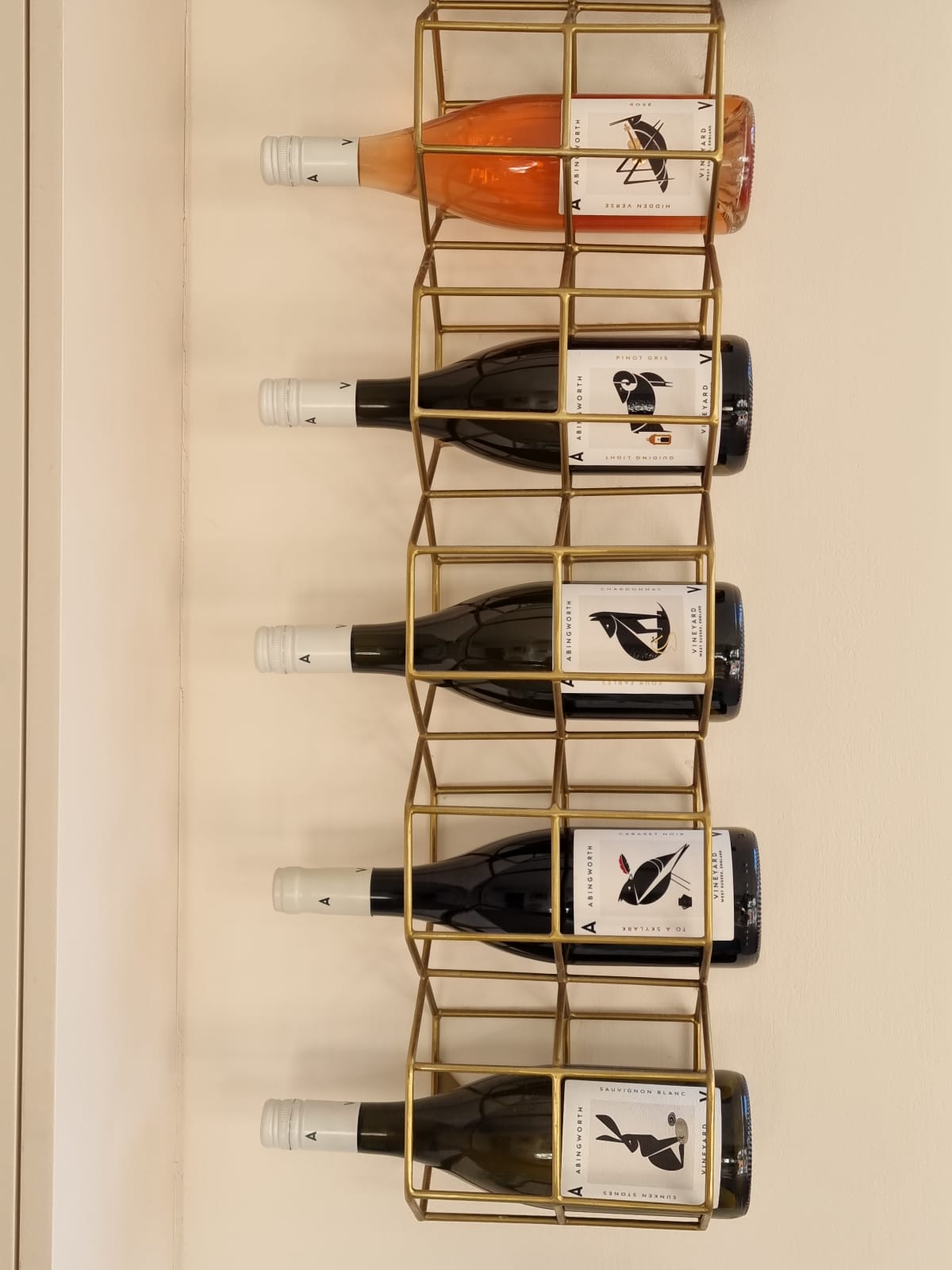 Abingworth Vineyard Blog Image - Blog Image 5