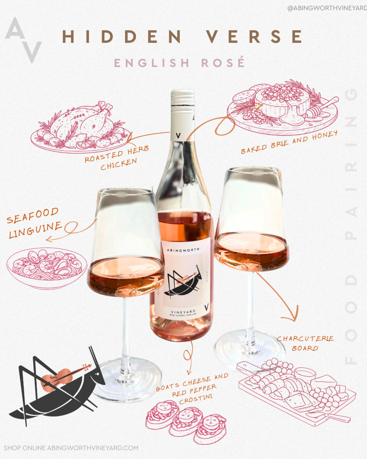 Abingworth Vineyard Blog Image - HV 5