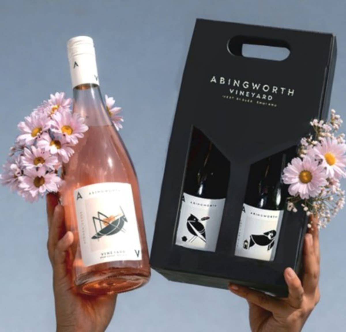 Abingworth Vineyard Blog Image - HV 1