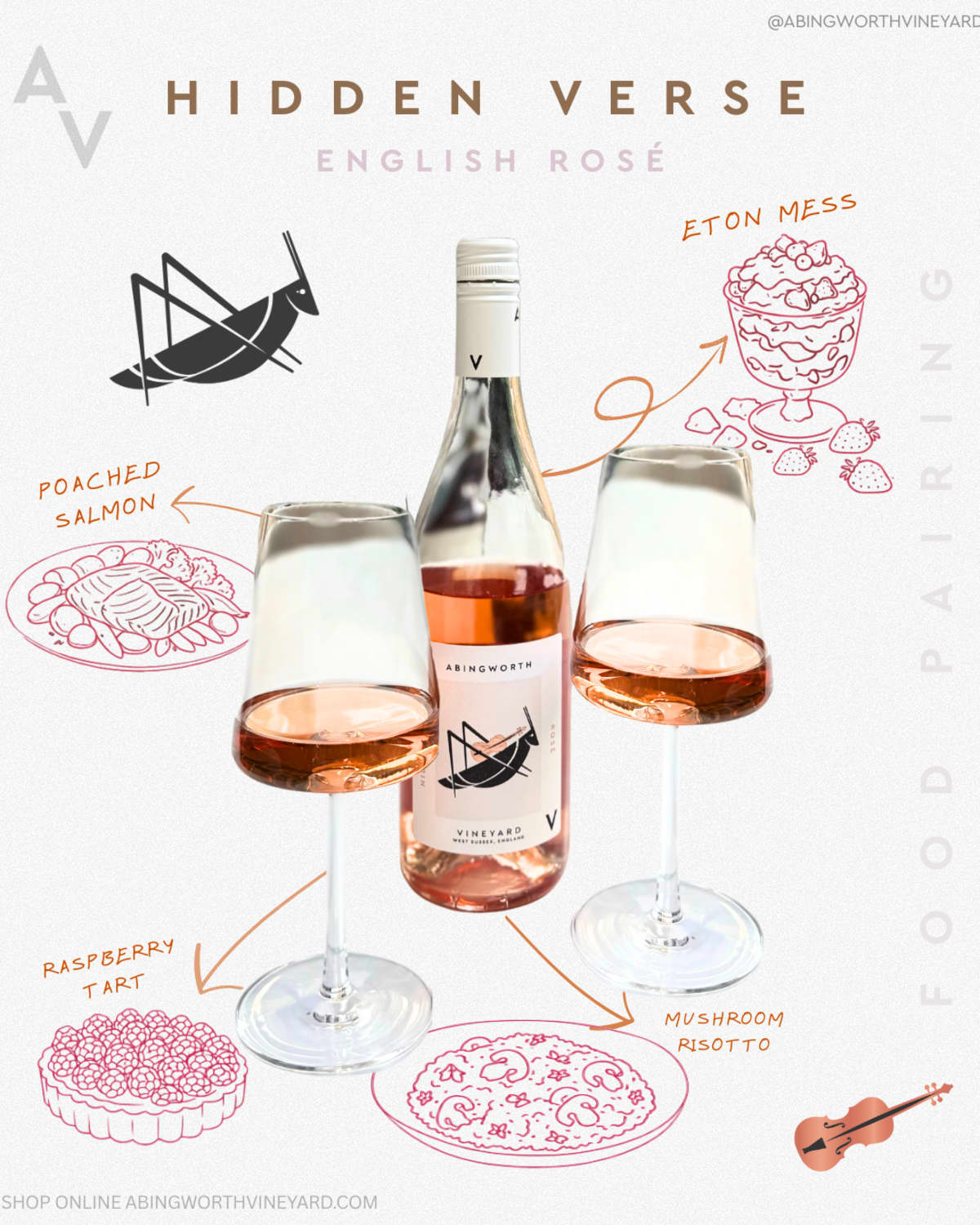 Abingworth Vineyard Blog Image - HV 6