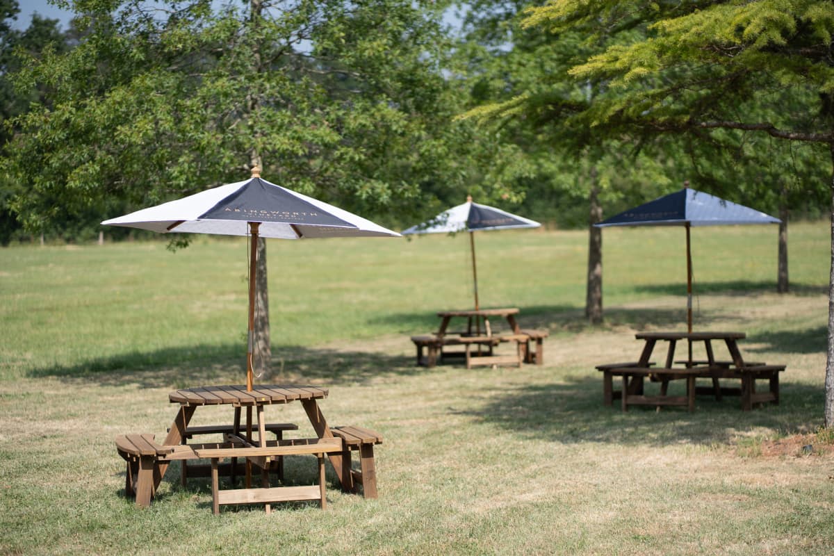 Abingworth Vineyard Blog Image - Blog Image 11