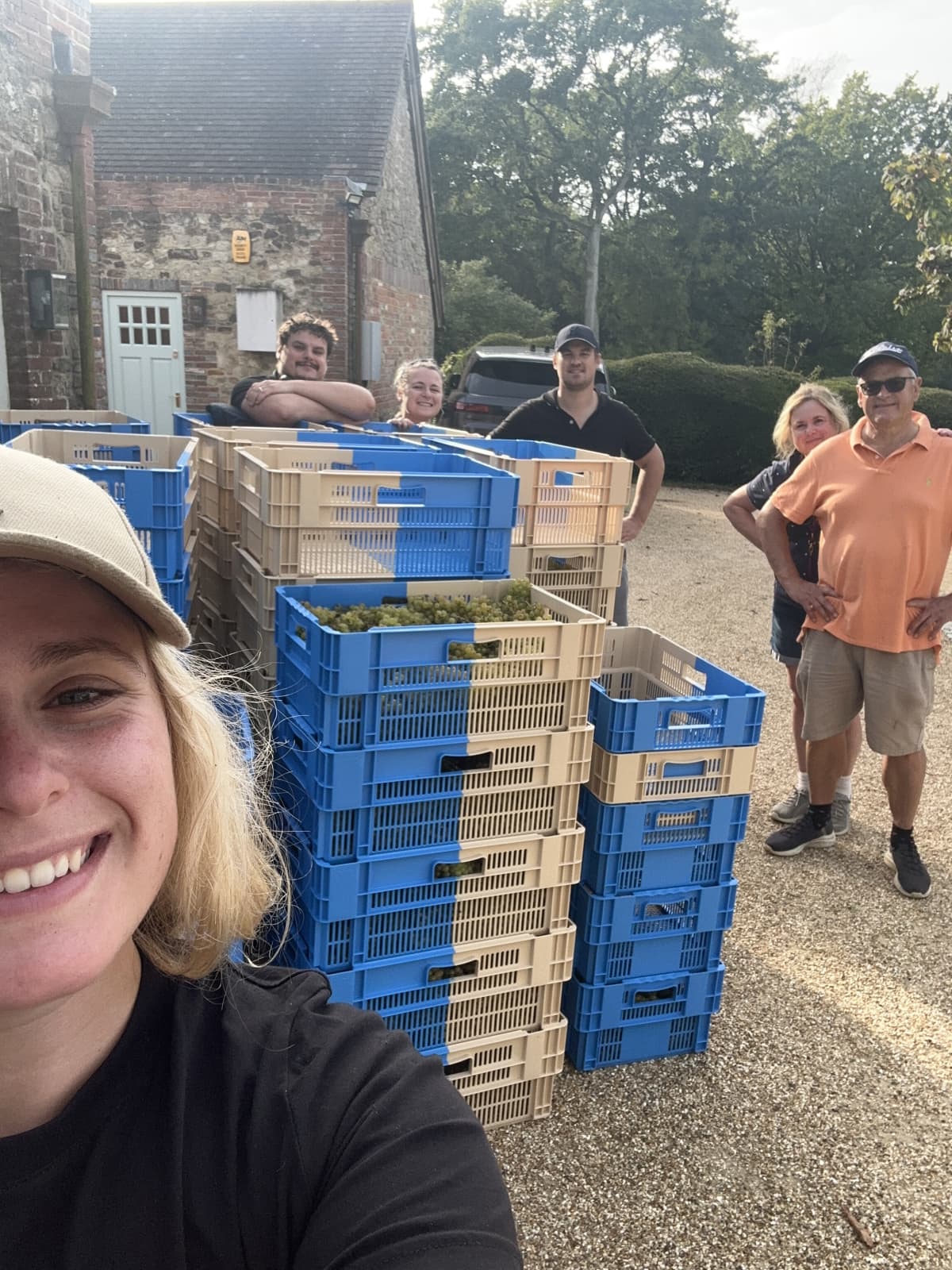 Abingworth Vineyard Blog Image - Blog Image 12