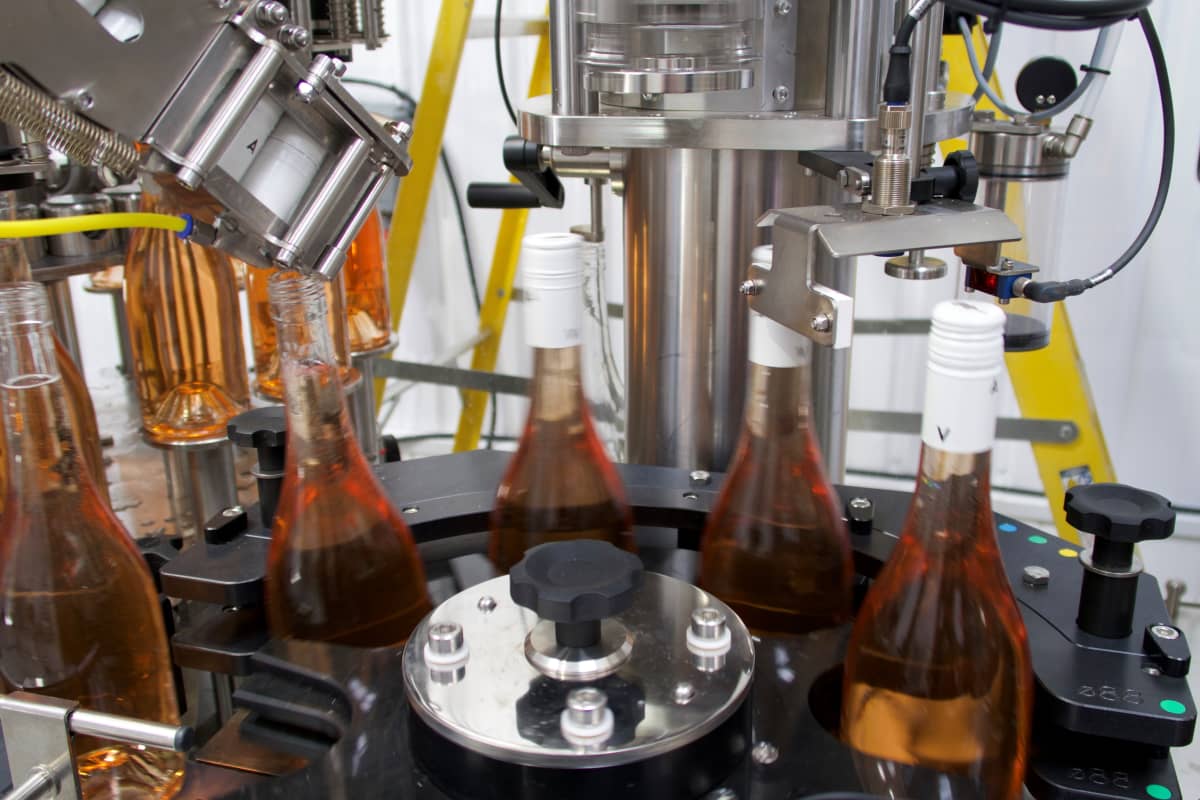 Abingworth Vineyard Blog Image - Blog Image 4