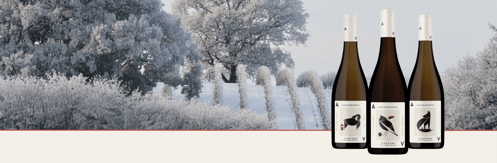 Abingworth Vineyard Page Banner Image