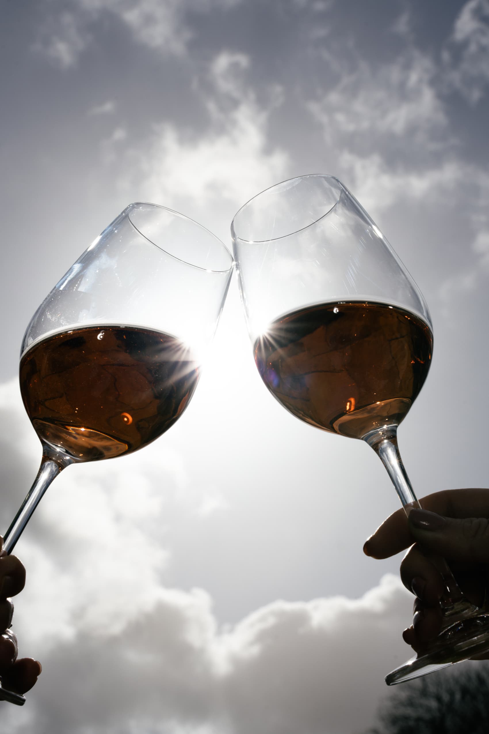 Abingworth Vineyard Page Banner Image