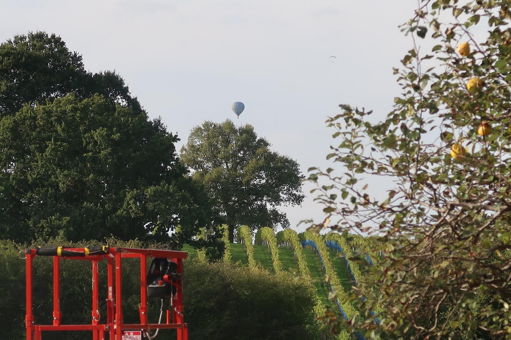 Abingworth Vineyard Page Banner Image