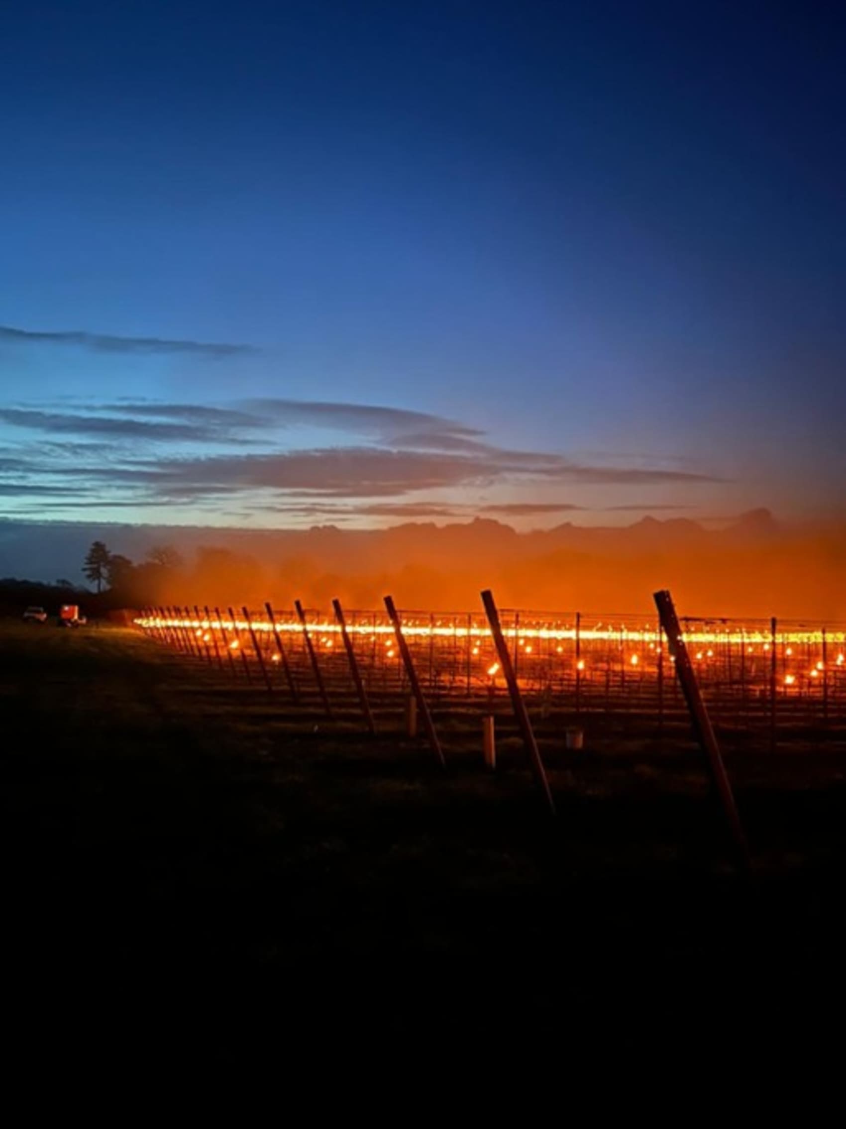 Abingworth Vineyard Page Banner Image