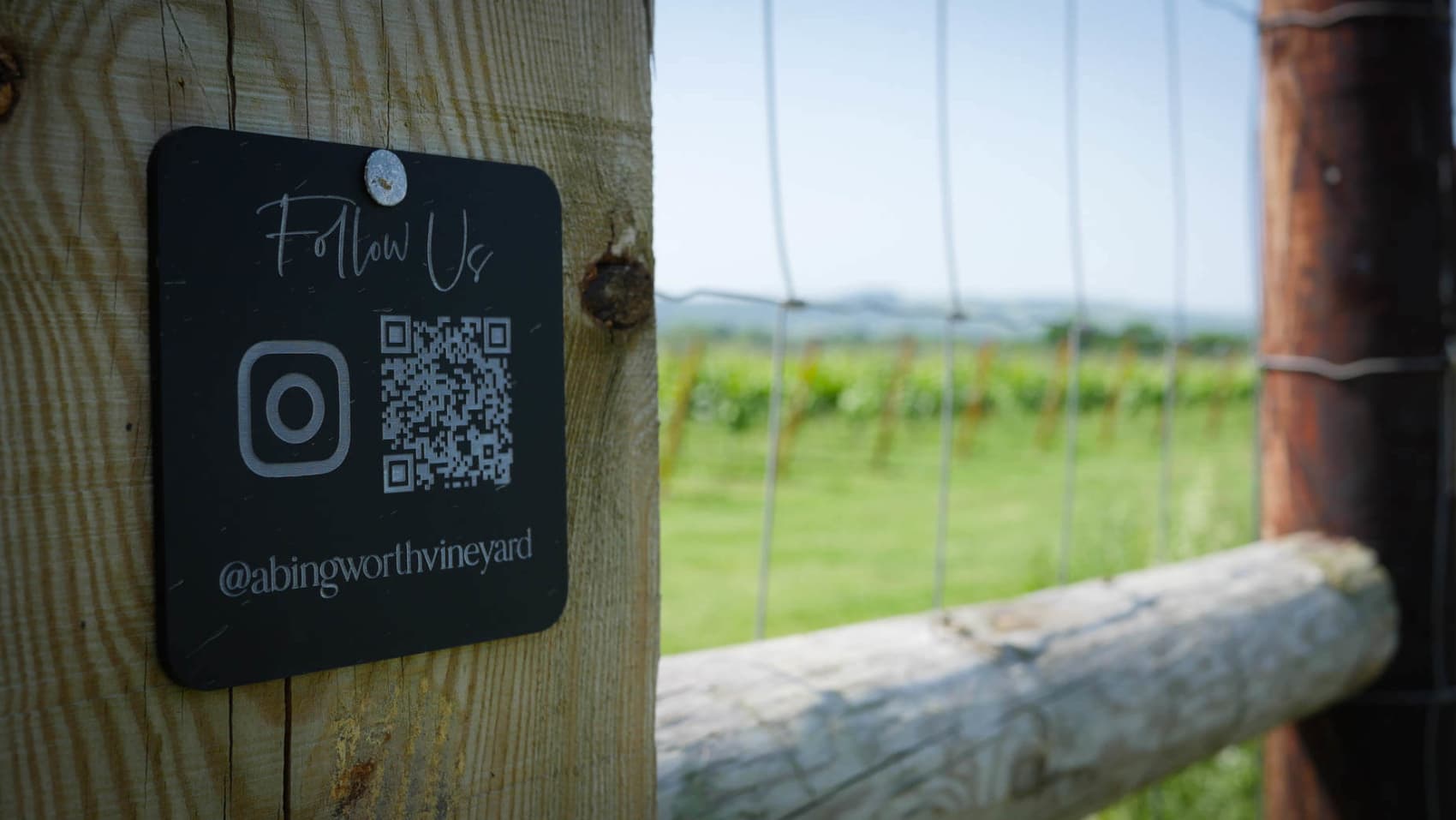 Abingworth Vineyard Page Banner Image