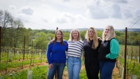 Abingworth Vineyard Abingworth Careers Image 7 - Thumbnail